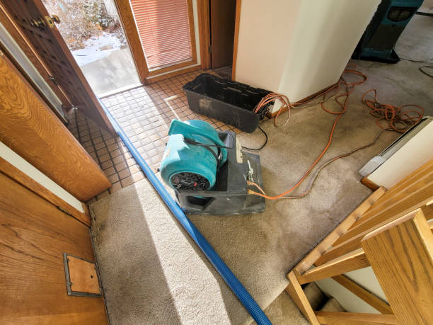 Best Flood damage cleanup  in Ballville, OH