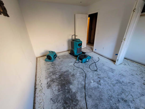 Best 24/7 water damage repair  in Ballville, OH