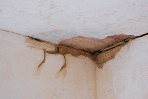Best Carpet water damage restoration  in Ballville, OH