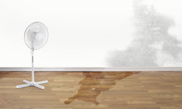 Best Emergency water damage restoration  in Ballville, OH