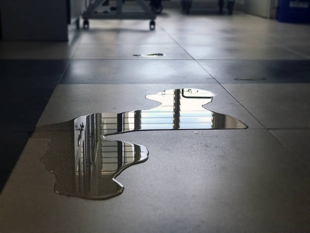 Best 24-hour water damage restoration  in Ballville, OH