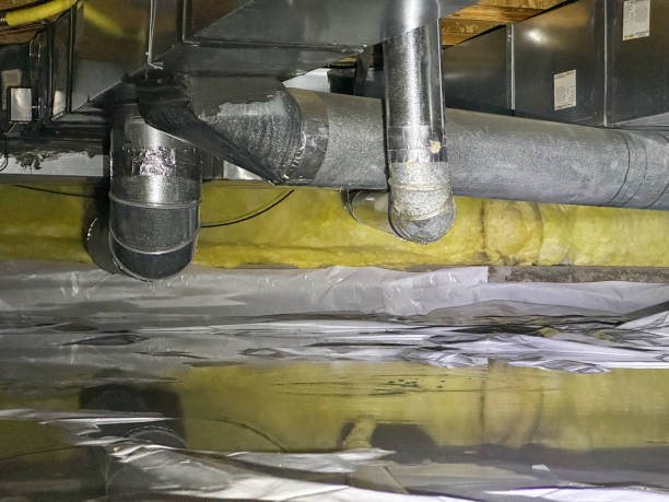 Best Water damage restoration cost  in Ballville, OH