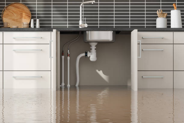 Best Water damage restoration company  in Ballville, OH