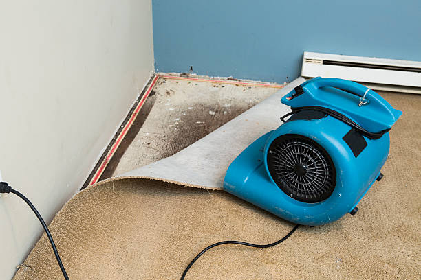 Best Residential water damage restoration  in Ballville, OH